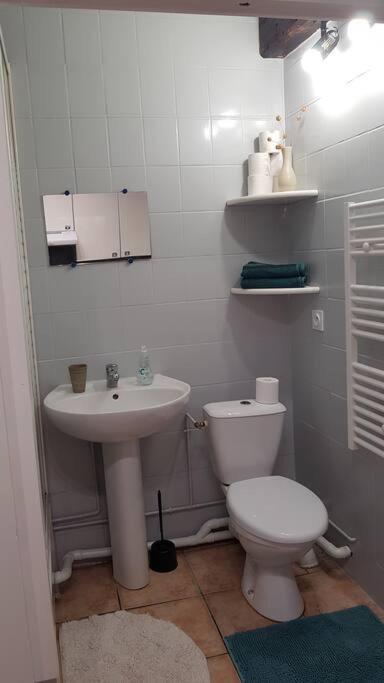 Studio Orleans Chatelet المظهر الخارجي الصورة